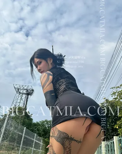 Bigcatmia